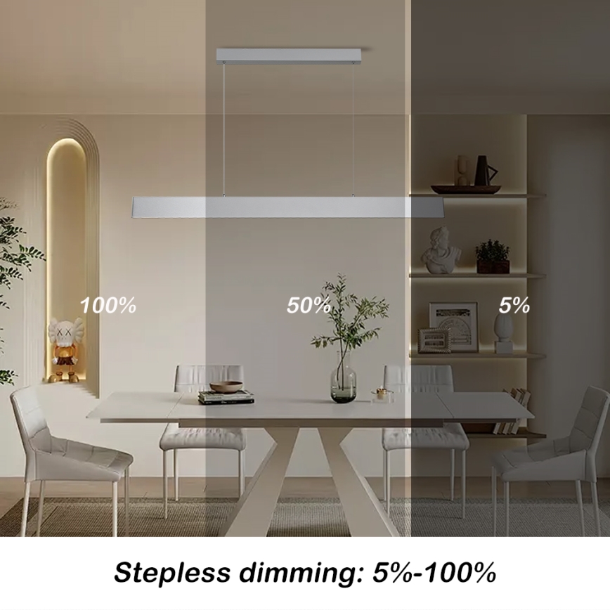 Brilagi - LED Reguliuojamas pakabinamas sietynas SLIMLINE LED/40W/230V 3000-6000K sidabras + nuotolinio valdymo pultas