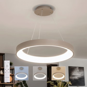 BRILAGI - LED reguliuojamas pakabinamas šviestuvas ant kabelio FALCON II LED/99W/230V 3000-6500K skersmuo 60 cm smėlio spalvos + nuotolinis valdymas