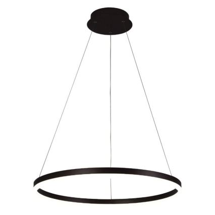 Brilagi - LED dimeriuojamas pakabinamas šviestuvas ant laido CIRCLE LED/42W/230V 3000-6500K skersm. 60 cm + nuotolinis valdymas