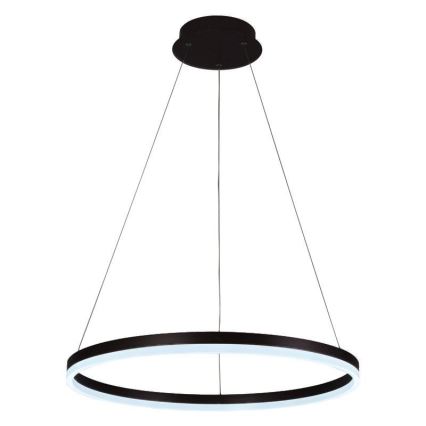 Brilagi - LED dimeriuojamas pakabinamas šviestuvas ant laido CIRCLE LED/42W/230V 3000-6500K skersm. 60 cm + nuotolinis valdymas