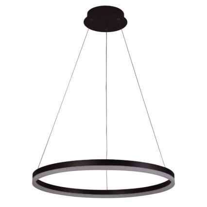 Brilagi - LED dimeriuojamas pakabinamas šviestuvas ant laido CIRCLE LED/42W/230V 3000-6500K skersm. 60 cm + nuotolinis valdymas