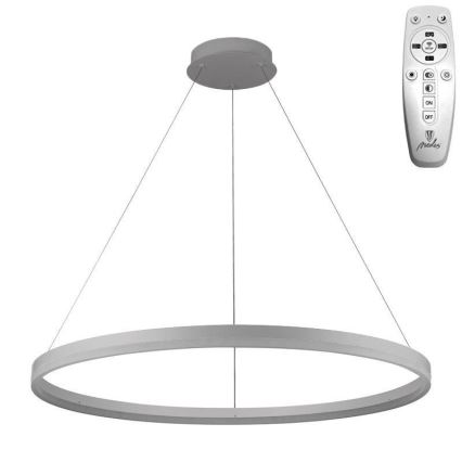 Brilagi - reguliuojamas LED pakabinamas šviestuvas ant laido CIRCLE LED/55W/230V 3000-6500K skersmuo 80 cm sidabrinis + nuotolinis valdymas