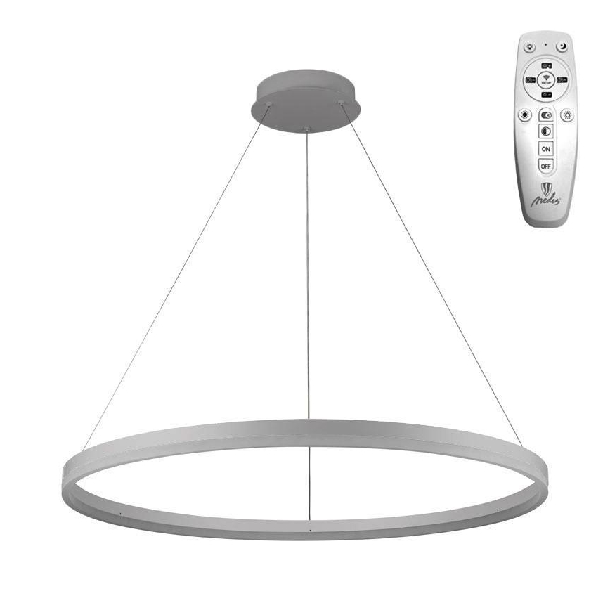 Brilagi - reguliuojamas LED pakabinamas šviestuvas ant laido CIRCLE LED/55W/230V 3000-6500K skersmuo 80 cm sidabrinis + nuotolinis valdymas
