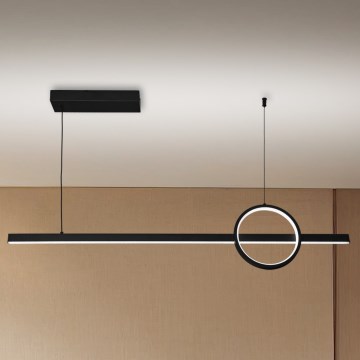 Brilagi - LED reguliuojamas pakabinamas šviestuvas ant laido NIVIO LED/20W/230V 3000/4000/6000K + nuotolinis valdymas