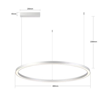 Brilagi - LED reguliuojamas pakabinamas šviestuvas ant laido PORTOFINO LED/60W/230V 3000-6000K skersmuo 80 cm sidabro spalvos + nuotolinis pultas