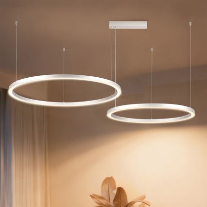 Brilagi - reguliuojamas LED pakabinamas šviestuvas ant laido PORTOFINO LED/98W/230V 3000-6000K sidabrinis + nuotolinis valdymas
