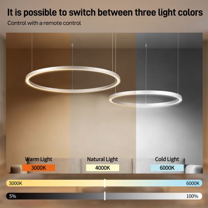 Brilagi - reguliuojamas LED pakabinamas šviestuvas ant laido PORTOFINO LED/98W/230V 3000-6000K sidabrinis + nuotolinis valdymas