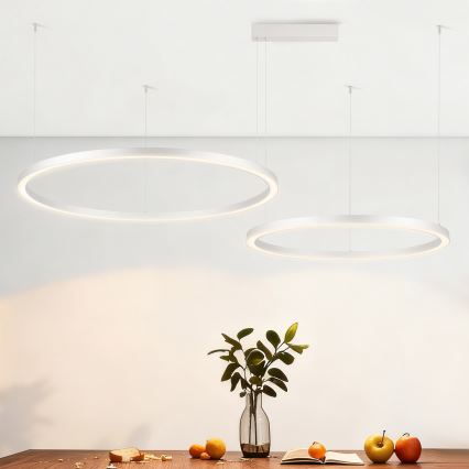 Brilagi - reguliuojamas LED pakabinamas šviestuvas ant laido PORTOFINO LED/98W/230V 3000-6000K sidabrinis + nuotolinis valdymas