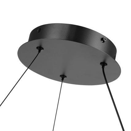 Brilagi - Reguliuojamas LED pakabinamas šviestuvas ant laido TWISTER LED/105W/230V 3000-6000K skersm. 100 cm juoda + nuotolinis valdymas