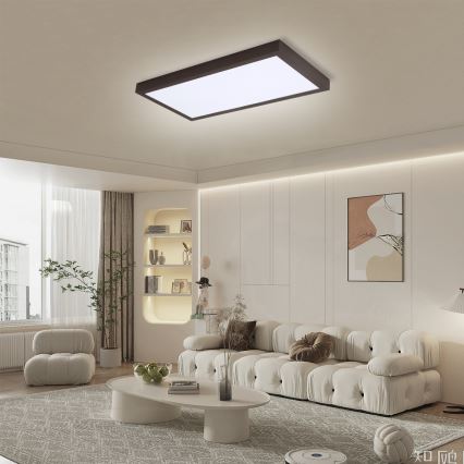 Brilagi - LED pritemdomas lubinis vonios šviestuvas FRAME SMART LED/30W/230V 30x60 cm 3000-6000K  IP44 juoda  + nuotolinio valdymo pultas