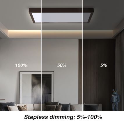 Brilagi - LED pritemdomas lubinis vonios šviestuvas FRAME SMART LED/30W/230V 30x60 cm 3000-6000K  IP44 juoda  + nuotolinio valdymo pultas