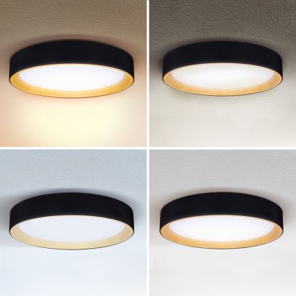 Brilagi - LED Pritemdomas lubinis šviestuvas LARIOS LED/60W/230V 3000-6500K ø 49 cm juoda + nuotolinio valdymo pultas