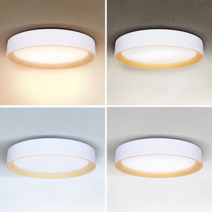 Brilagi - LED Pritemdomas lubinis šviestuvas LARIOS LED/60W/230V 3000-6500K ø 49 cm balta + nuotolinio valdymo pultas