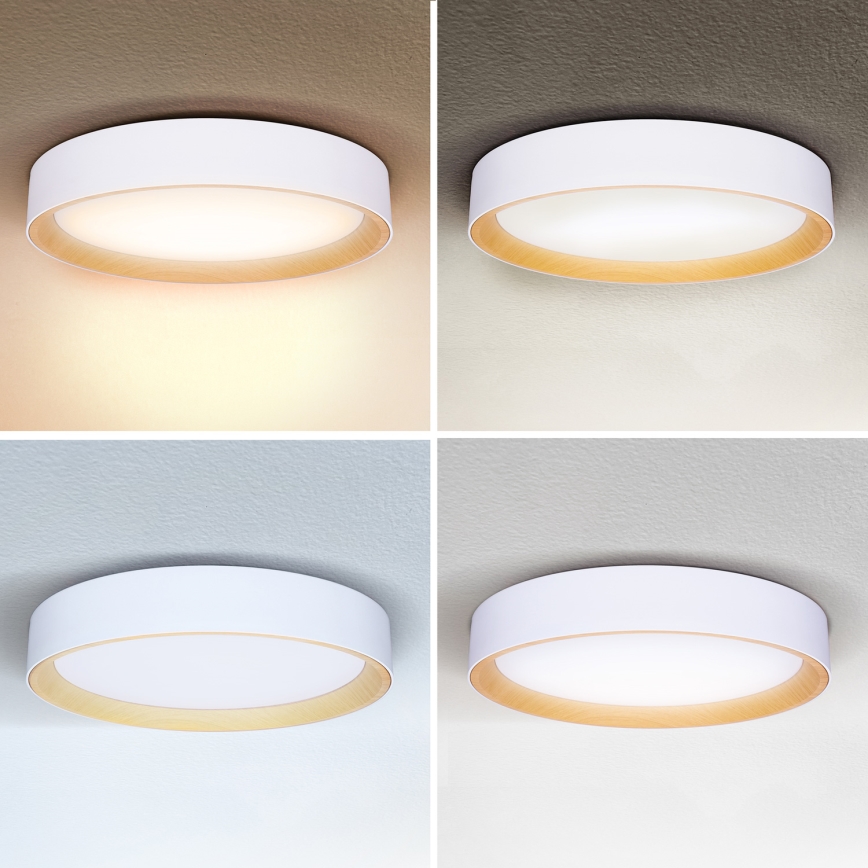 Brilagi - LED Pritemdomas lubinis šviestuvas LARIOS LED/60W/230V 3000-6500K ø 49 cm balta + nuotolinio valdymo pultas