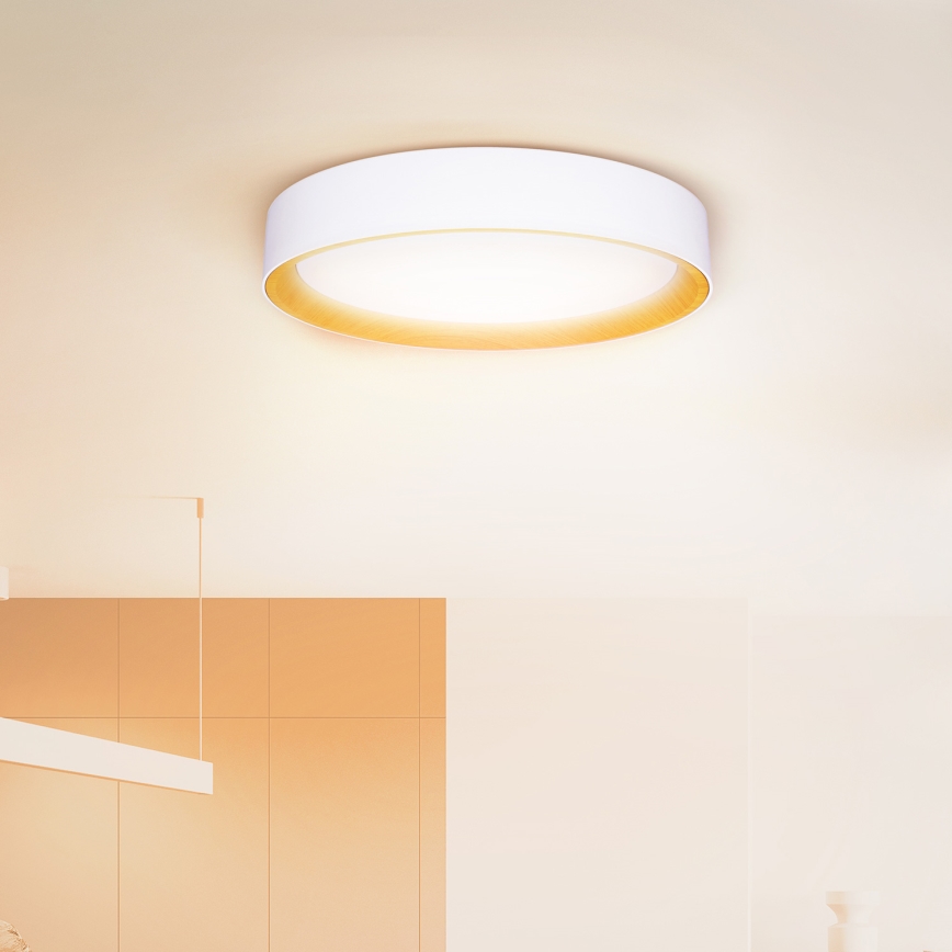 Brilagi - LED Pritemdomas lubinis šviestuvas LARIOS LED/60W/230V 3000-6500K ø 49 cm balta + nuotolinio valdymo pultas