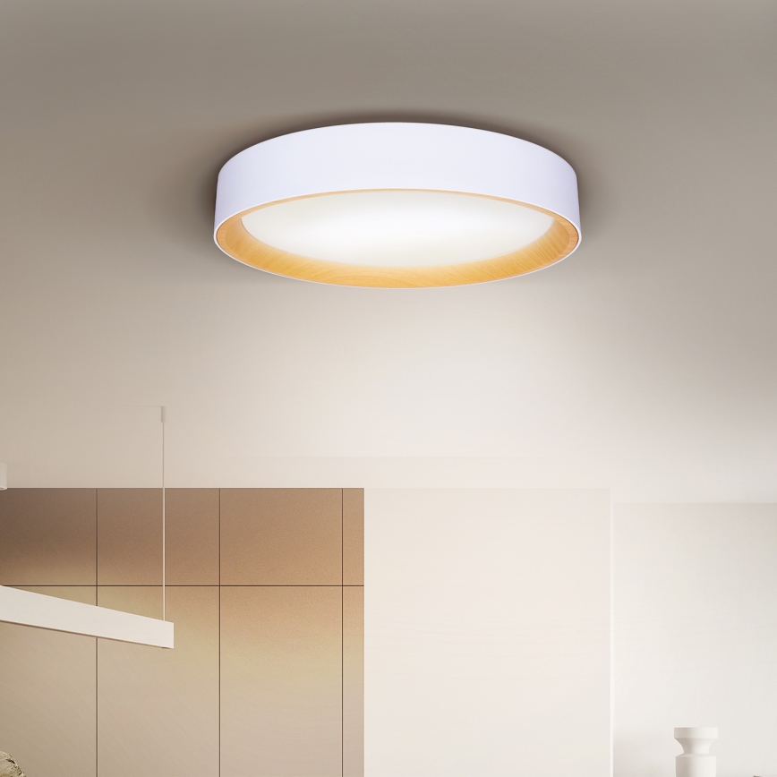 Brilagi - LED Pritemdomas lubinis šviestuvas LARIOS LED/60W/230V 3000-6500K ø 49 cm balta + nuotolinio valdymo pultas