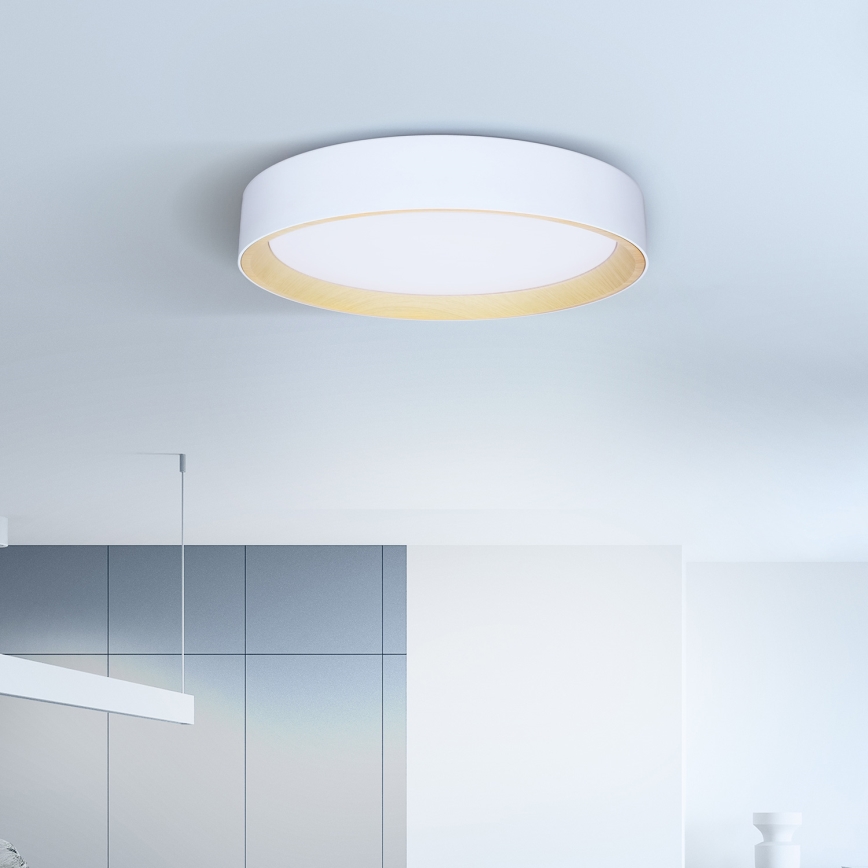 Brilagi - LED Pritemdomas lubinis šviestuvas LARIOS LED/60W/230V 3000-6500K ø 49 cm balta + nuotolinio valdymo pultas