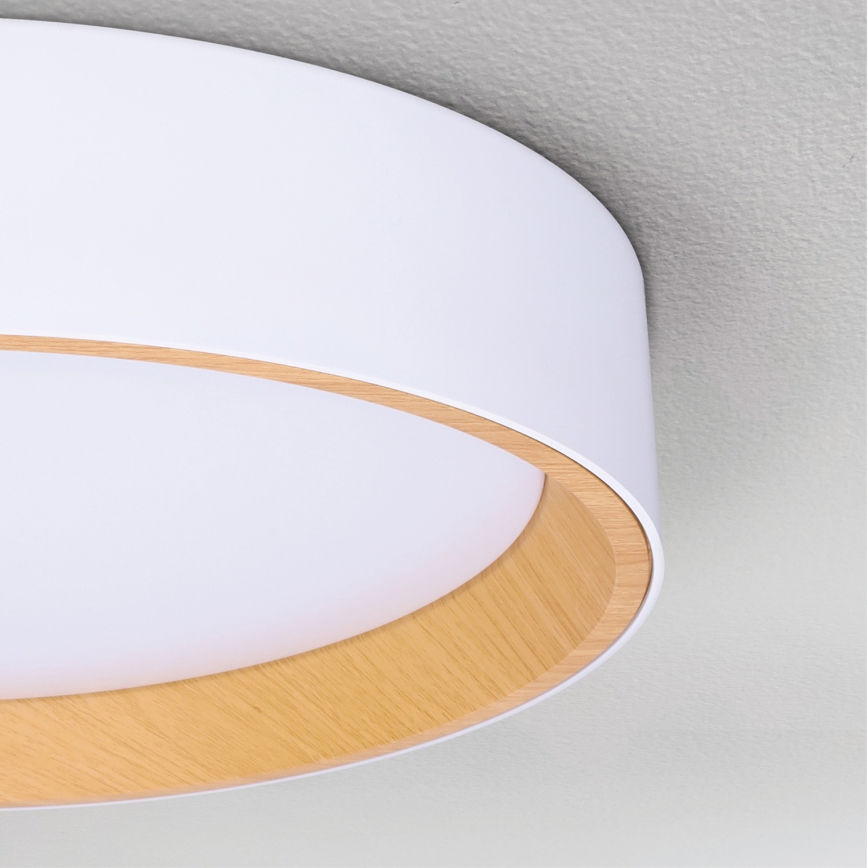Brilagi - LED Pritemdomas lubinis šviestuvas LARIOS LED/60W/230V 3000-6500K ø 49 cm balta + nuotolinio valdymo pultas
