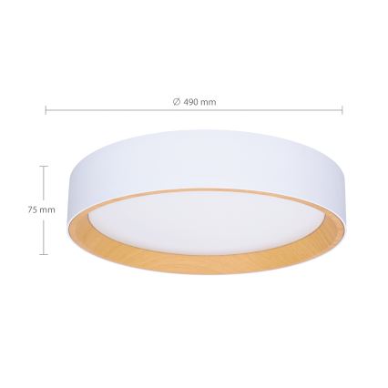 Brilagi - LED Pritemdomas lubinis šviestuvas LARIOS LED/60W/230V 3000-6500K ø 49 cm balta + nuotolinio valdymo pultas