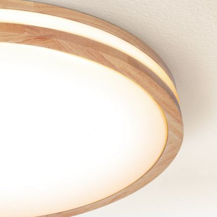 Brilagi - Dimeriuojamas LED lubų šviestuvas MOLINA LED/72W/230V 3000-6500K, ąžuolas, skersmuo 78 cm + nuotolinis valdymas