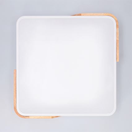 Brilagi - Dimeriuojamas LED lubų šviestuvas PILANA LED/48W/230V 3000-6500K ąžuolas/balta 42x42 cm + nuotolinis valdymas