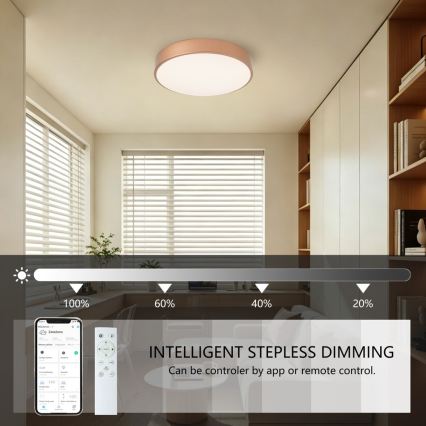 BRILAGI - reguliuojamas LED lubinis šviestuvas POOL SMART LED/48W/230V 3000-6000K skersm. 40 cm Wi-Fi Tuya bronzinė + su nuotoliniu pultu