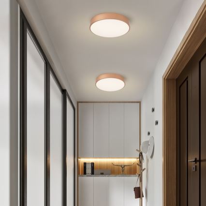 BRILAGI - reguliuojamas LED lubinis šviestuvas POOL SMART LED/48W/230V 3000-6000K skersm. 40 cm Wi-Fi Tuya bronzinė + su nuotoliniu pultu
