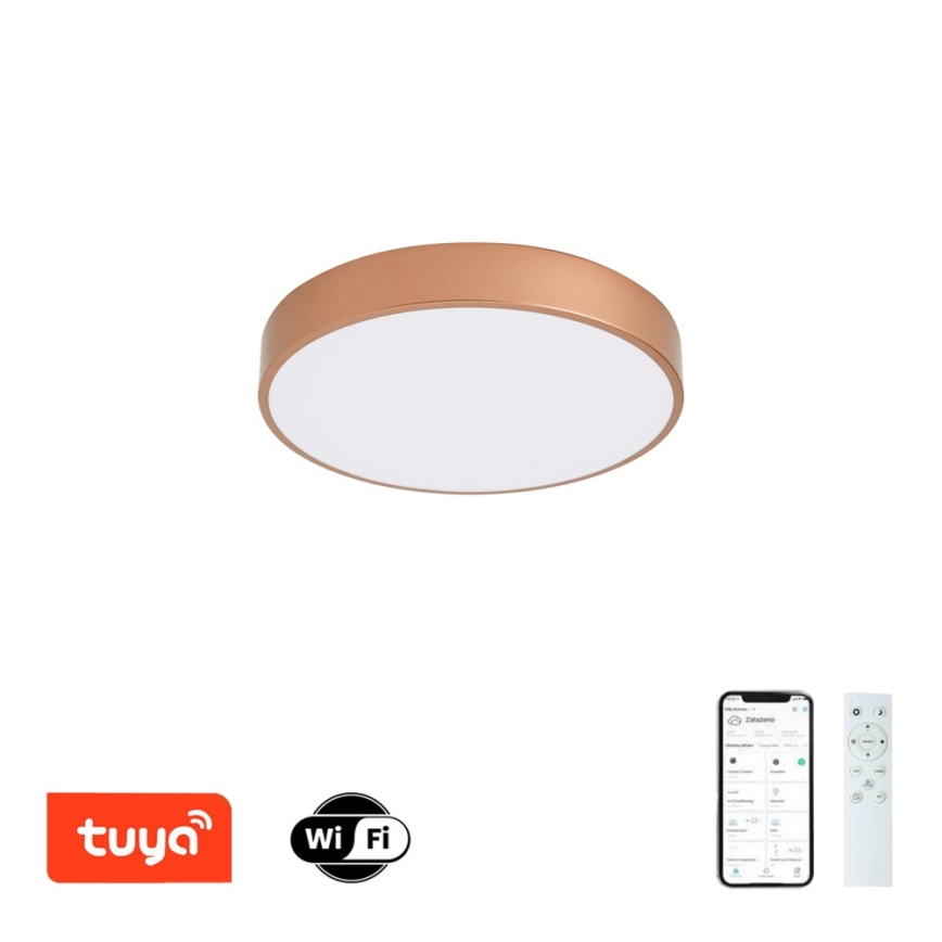 BRILAGI - reguliuojamas LED lubinis šviestuvas POOL SMART LED/48W/230V 3000-6000K skersm. 40 cm Wi-Fi Tuya bronzinė + su nuotoliniu pultu