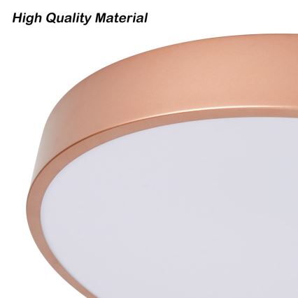 BRILAGI - reguliuojamas LED lubinis šviestuvas POOL SMART LED/48W/230V 3000-6000K skersm. 40 cm Wi-Fi Tuya bronzinė + su nuotoliniu pultu