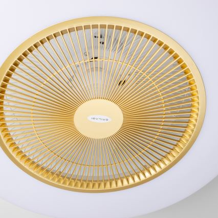 Brilagi - LED Reguliuojamas šviestuvas su ventiliatoriumi AURA LED/38W/230V 3000-6000K aukso + valdymo pultas