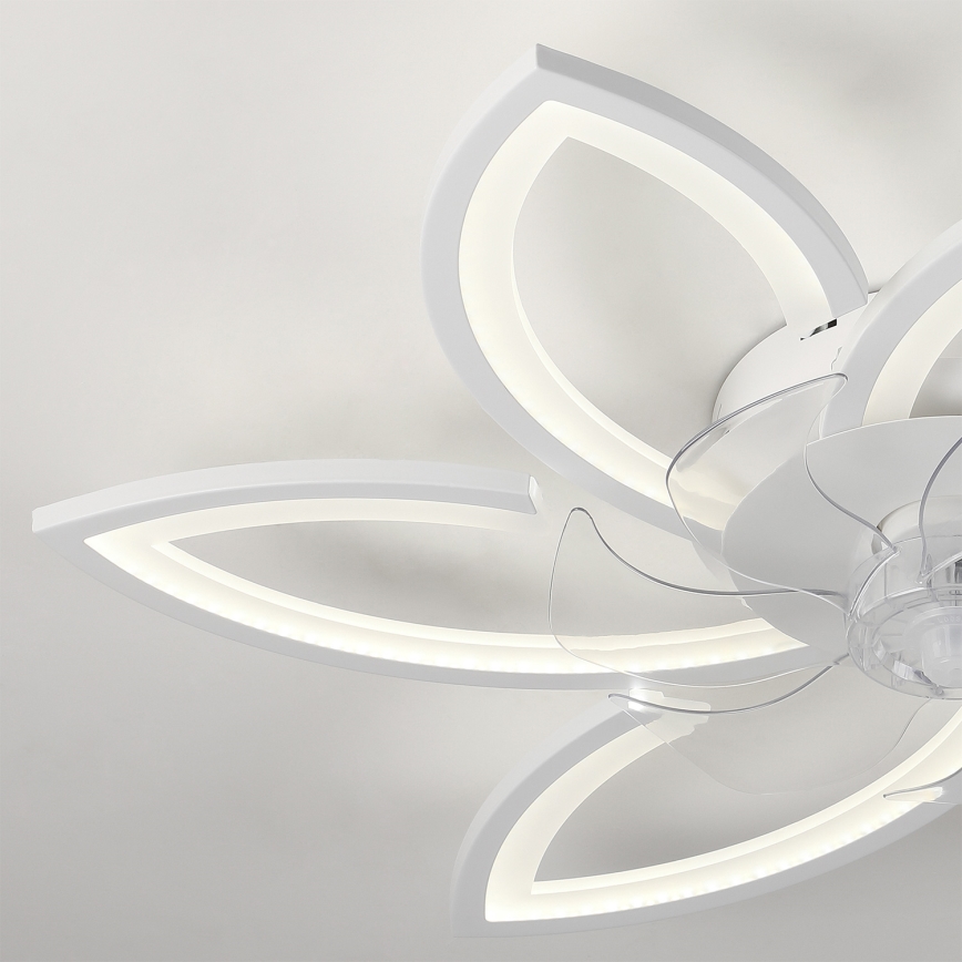 Brilagi - LED reguliuojamas lubų šviestuvas su ventiliatoriumi LED/50W/230V 3000-6500K baltas + nuotolinio valdymo pultas