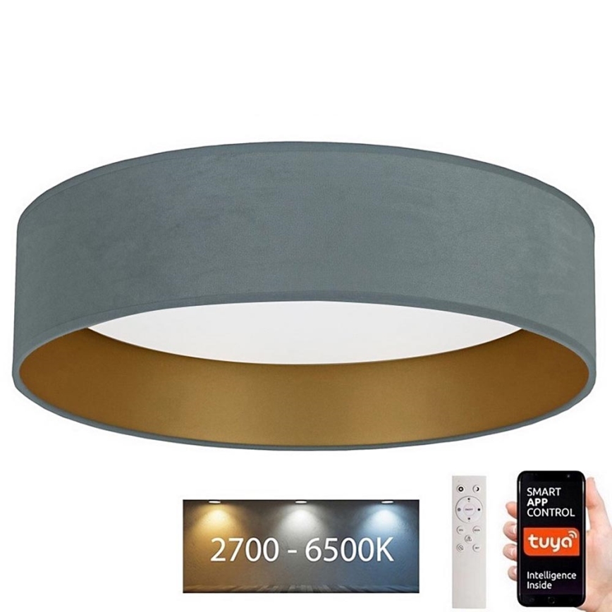 Brilagi - LED Reguliuojamas šviestuvas VELVET SMART LED/24W/230V d. 45 cm 2700-6500K Wi-Fi Tuya mėtinė/auksinė + nuotolinio valdymo pultelis