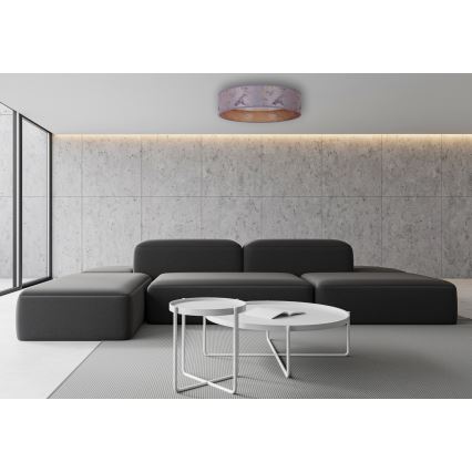 Brilagi - LED reguliuojamas lubų šviestuvas VELVET SMART LED/24W/230V skersmuo 45 cm 2700-6500K Wi-Fi Tuya pilka/auksinė + nuotolinio valdymo pultas