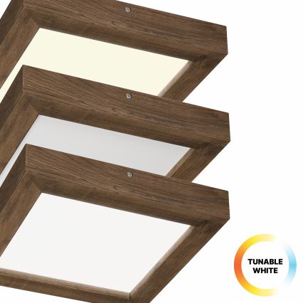 Brilagi - LED reguliuojamas vonios kambario lubų šviestuvas WOODY FRAME LED/24W/230V ąžuolas riešutas 30x30 cm 3000-6000K IP44 + nuotolinio valdymo pultas
