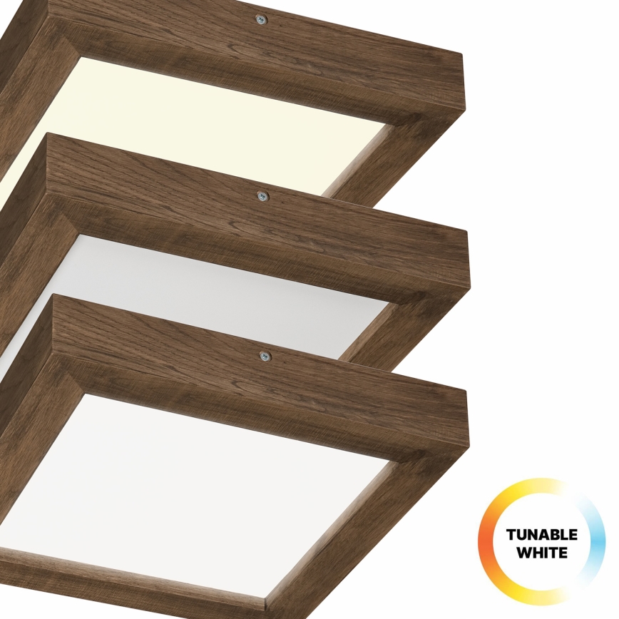 Brilagi - LED reguliuojamas vonios kambario lubų šviestuvas WOODY FRAME LED/24W/230V ąžuolas riešutas 30x30 cm 3000-6000K IP44 + nuotolinio valdymo pultas