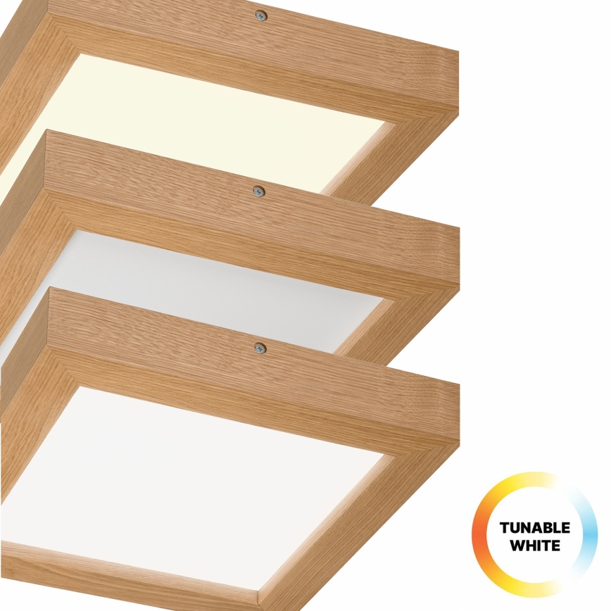 Brilagi - LED pritemdomas lubinis vonios šviestuvas WOODY FRAME LED/24W/230V ąžuolas 30x30 cm 3000-6000K IP44 + nuotolinio valdymo pultas