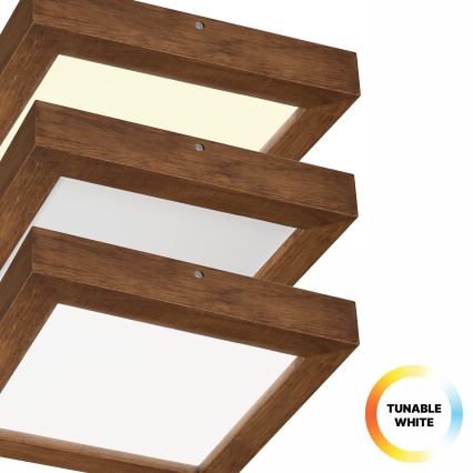 Brilagi - LED pritemdomas lubinis vonios šviestuvas WOODY FRAME LED/24W/230V ąžuolas vyšnia 30x30 cm 3000-6000K IP44 + nuotolinio valdymo pultas