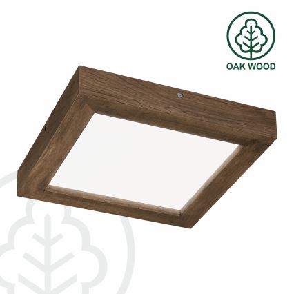 Brilagi - LED pritemdomas lubinis vonios šviestuvas WOODY FRAME LED/24W/230V ąžuolas 30x30 cm 3000-6000K IP44 + nuotolinio valdymo pultas