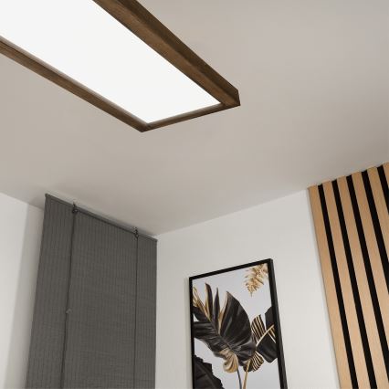 Brilagi - LED pritemdomas lubinis vonios šviestuvas WOODY FRAME LED/50W/230V ąžuolas 120x30 cm 3000-6000K IP44 + nuotolinio valdymo pultas