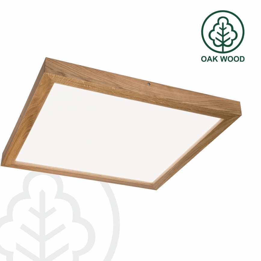 Brilagi - LED pritemdomas lubinis vonios šviestuvas WOODY FRAME LED/50W/230V ąžuolas 60x60 cm 3000-6000K IP44 + nuotolinio valdymo pultas