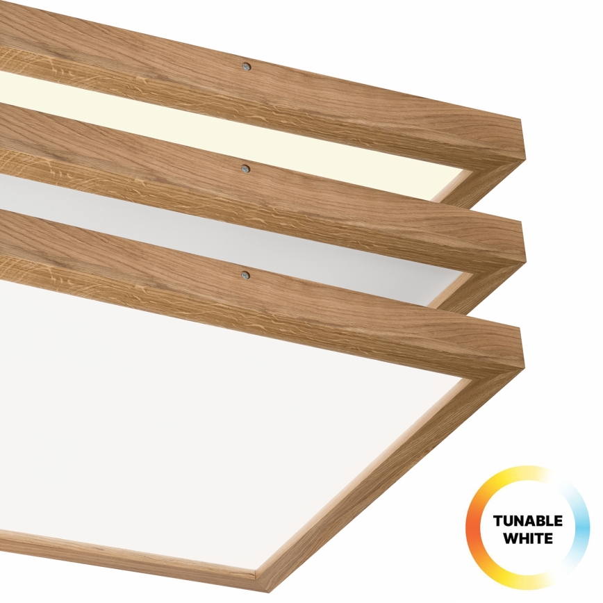 Brilagi - LED pritemdomas lubinis vonios šviestuvas WOODY FRAME LED/50W/230V ąžuolas 60x60 cm 3000-6000K IP44 + nuotolinio valdymo pultas