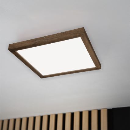 Brilagi - LED pritemdomas lubinis vonios šviestuvas WOODY FRAME LED/50W/230V ąžuolas 60x60 cm 3000-6000K IP44 + nuotolinio valdymo pultas