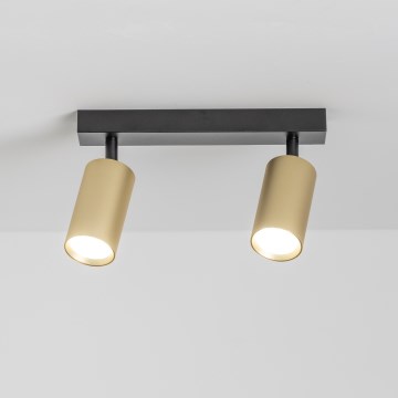 Brilagi - LED reguliuojamas taškinis šviestuvas SELE GOLDEN 2xGU10/6,5W/230V 2700-6500K juoda/auksinė