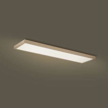 Brilagi - Reguliuojamas LED vonios lubų šviestuvas FRAME SMART LED/50W/230V 120x30 cm 3000-6000K IP44 smėlinė + nuotolinio valdymo pultas