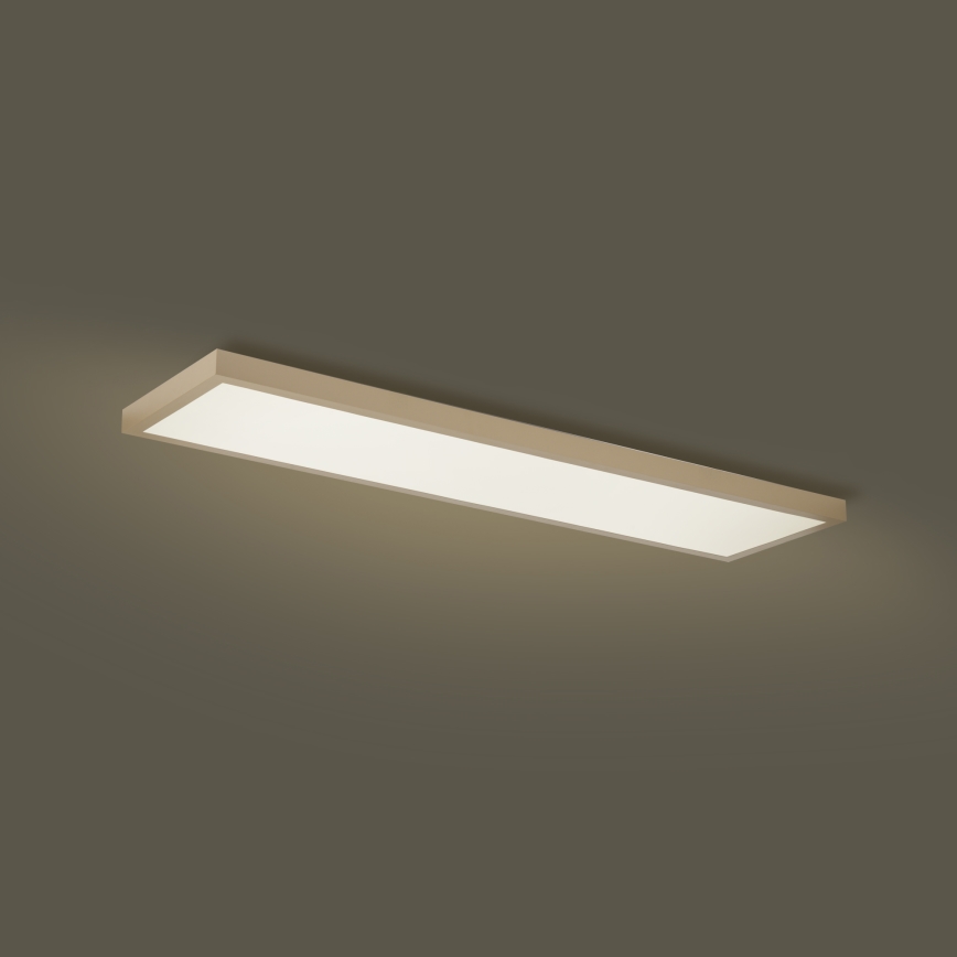 Brilagi - Reguliuojamas LED vonios lubų šviestuvas FRAME SMART LED/50W/230V 120x30 cm 3000-6000K IP44 smėlinė + nuotolinio valdymo pultas
