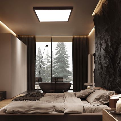 Brilagi - Dimeriuojamas LED vonios lubinis šviestuvas FRAME SMART LED/50W/230V 60x60 cm 3000-6000K IP44 juodas + nuotolinis valdymas