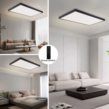 Brilagi - Dimeriuojamas vonios kambario lubinis LED šviestuvas FRAME SMART LED/96W/230V 120x60 cm 3000-6000K IP44 juoda + nuotolinis valdymas