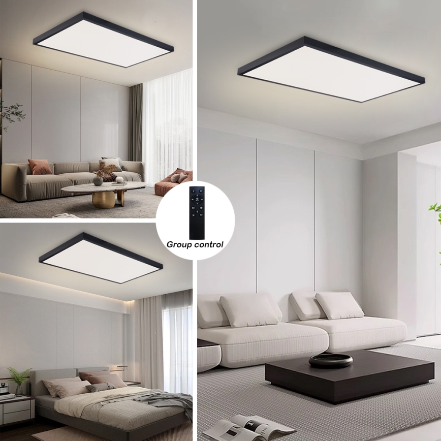 Brilagi - Dimeriuojamas vonios kambario lubinis LED šviestuvas FRAME SMART LED/96W/230V 120x60 cm 3000-6000K IP44 juoda + nuotolinis valdymas