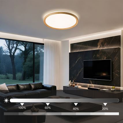 Brilagi - dimeriuojamas LED lubinis šviestuvas RIVO LED/72W/230V 3000-6000K su medžio dekoru, skersmuo 50 cm + nuotolinis valdymas