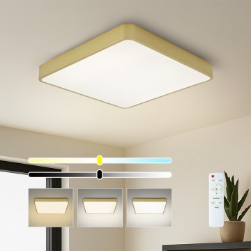 BRILAGI - LED reguliuojamo ryškumo lubų šviestuvas POOL SQUARE LED/48W/230V 3000-6000K 50x50 cm auksinis + nuotolinis valdymas